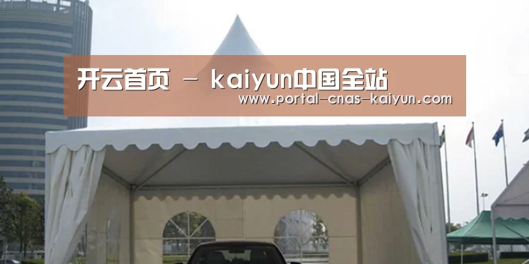 案例标题八