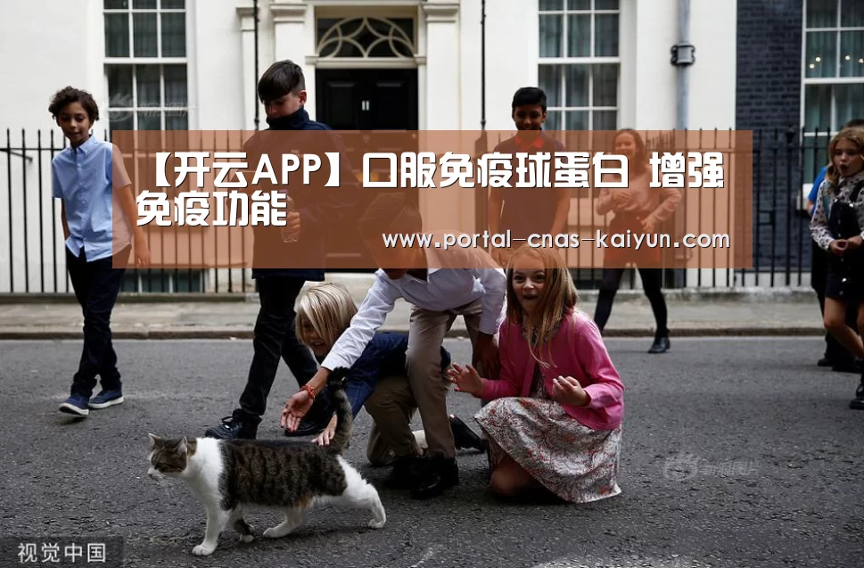 开云APP