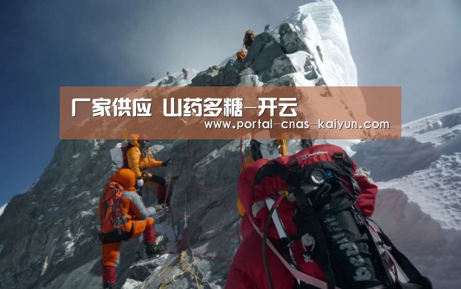 厂家供应 山药多糖-开云(图2)