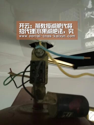 开云:燕教授减肥代餐招代理|水果减肥法,究竟坑了多少人?(图2) 开云APP